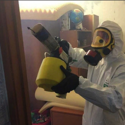 Уничтожение клопов в квартире. Барнаул
